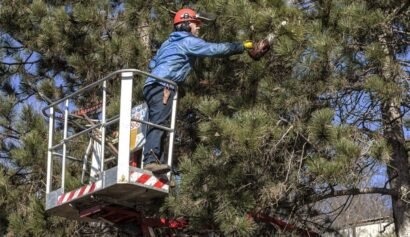 banner2-min-1903×850-1