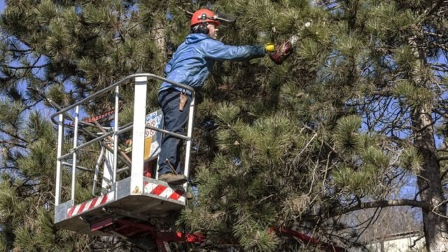 banner2-min-1903×850-1